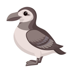 Seabird petrel. Petrel bird isolated on white background. Fauna. Illustration.