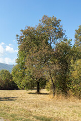 Landscape of South Park in city of Sofia, Bulgaria