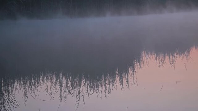 Lake surface at dawn, mist veiling calm water and reeds as soft light and reflections create serene, abstract patterns and a tranquil, dreamlike nature scene