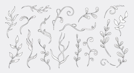 Obraz premium Collection of minimalist hand-drawn botanical elements, leaves, and swirling vines in sketch style