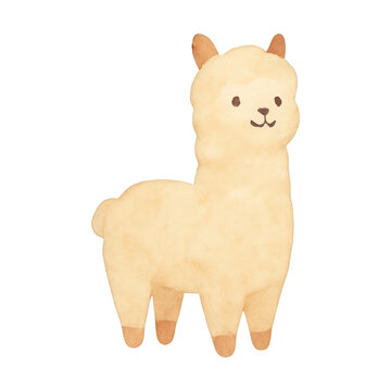 PNG Cute watercolor llama illustration.