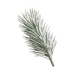 Fototapeta premium PNG Frosted pine branch illustration