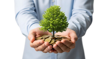 Person Holding a Tree Growing from a Pile of Gold Coins, Representing Financial Growth