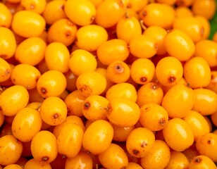 Close-up of many small, bright yellow berries