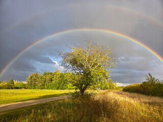 Double Rainbow Arches Over Verdant Fields and Lush Forest After a Rain Shower
