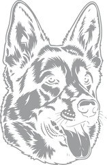 wolf head vector