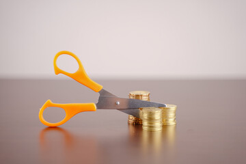 concept photo of cost cutting or benefit deduction