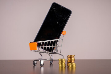 shopping cart in a supermarket