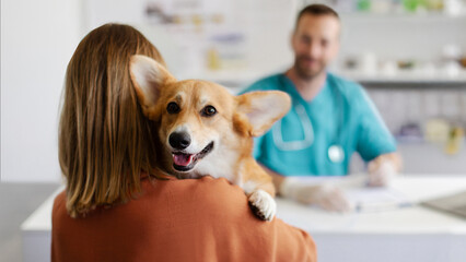 Pembroke Welsh Corgi dog being held by his female owner during visit at vet clinic, panorama with copy space, banner. Pet health care concept