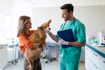 Woman owner holding her puppy, Pembroke Welsh Corgi dog, visiting vet clinic for regular checkup. Pet care concept