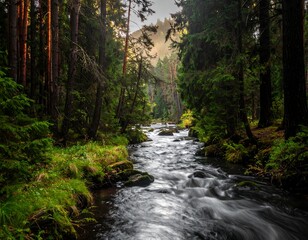 Tranquil forest stream
