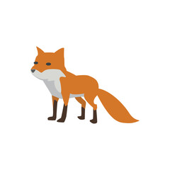 wolf vector design element.eps