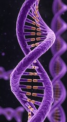 DNA Double Helix Structure Image.