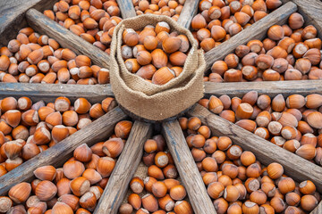 Verschiedene Sorten Haselnüsse