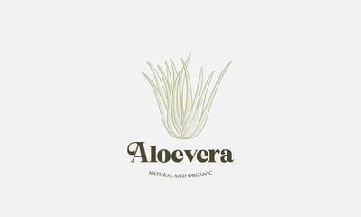 Hand Drawn aloe vera logo template, Green leaf aloe vera label or icon. Vector sign