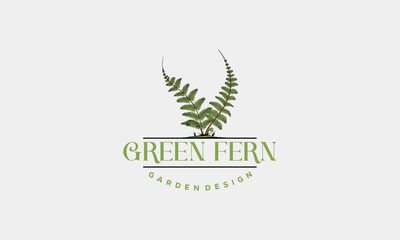 Green Fern logo icon design template vector, Hand Drawn Fern garden Designs template vector © Lucky Luck