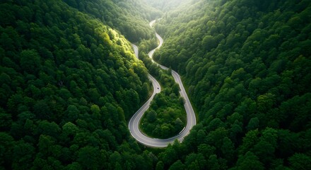 Aerial view of winding road through lush green forest with sunlight