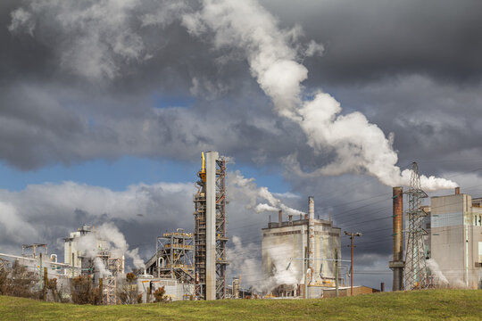 Kinleith Mill pulp and paper mill, New Zealand. Photo taken shortly after paper production ceased in June 2025 and only bleached kraft pulp production continued.
