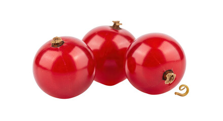 Three ripe red currants isolated on transparent background