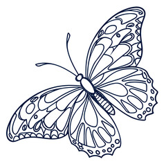 Elegant line art illustration of a detailed butterfly with intricate wing patterns and delicate antennae on a white background
