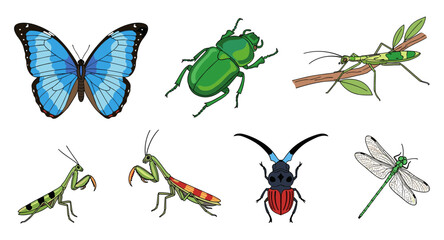 Vector illustration set of colorful insects isolated on transparent background for entomology svg