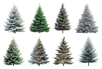 Obraz premium PNG Diverse snowy Christmas trees display, element set on transparent background