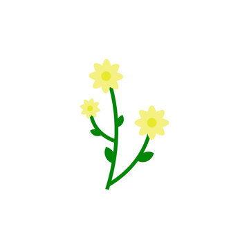 Bright and cheerful yellow daisy-like flowers with green foliage, a minimalist vector illustration showcasing a fresh floral design element for various projects