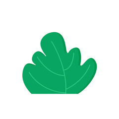 Green Leafy Bush Plant Element Isolated on White Background