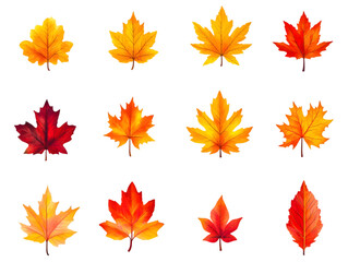 detailed autumn maple leaves collection exhibiting natural texture and delicate vein patterns, symbolizing peaceful seasonal change, nature’s beauty, and organic life cycle.
