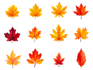 detailed autumn maple leaves collection exhibiting natural texture and delicate vein patterns, symbolizing peaceful seasonal change, nature’s beauty, and organic life cycle.