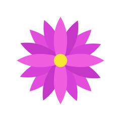 Fototapeta premium A vibrant purple flower with a yellow center, symbolizing growth and beauty in nature