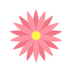 A simple flat design illustration of a pink daisy flower with pointed petals and a yellow center, isolated on a white background for botanical and decorative use