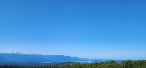 landscape with trees