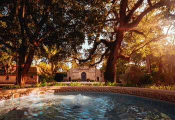 autumn in the park  beautiful old church coconut grove miami 