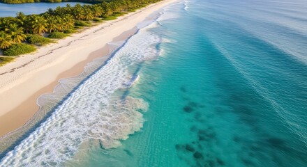 Aerial View of Tropical Beach with Turquoise Ocean and Lush Green Palm Trees.