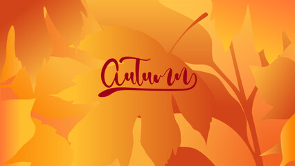 autumn4