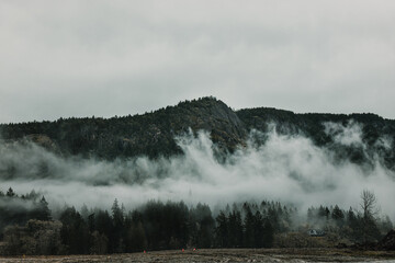Low-lying fog over dark green coniferous forest and hillside mountain. Overcast sky. Landscape view. © Darien