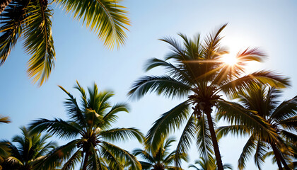 Tropical Coastal Breeze with Palm Leaf Double Exposure