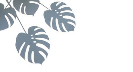 Monstera shadow overlay effect, displaying realistic summer sunlight tropical leaves shadows isolated on a clean white background, adding a tropical and sunny feel to images.