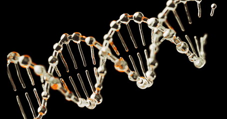 Luminous Gold Glass DNA Strand Forming and Rotating on Black Background for Genetics and Scientific Presentations.
