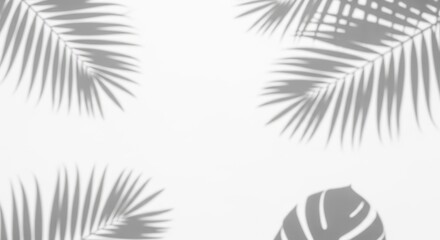 palm shadow overlay effect,realistic sunmmer sunlight tropical leaves shadows isolated on white