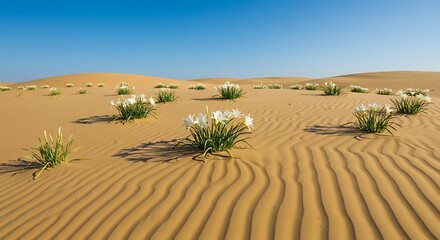 Desert landscape with blooming flowers under a clear blue sky