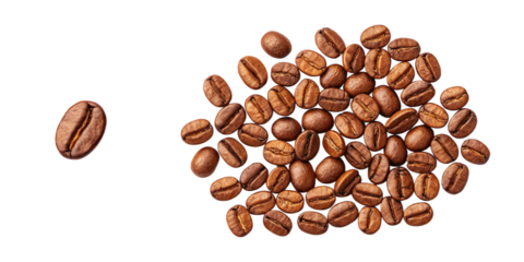 Single Coffee Bean Symbol of Individuality and Courage on Transparent Background
Unique Coffee Bean Standing Apart from Group Illustrating Identity and Distinction