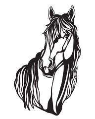 Beautiful horse illustration template vector isolated illustration