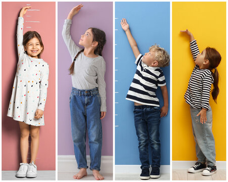 Fototapeta Cute children measuring their heights near colorful walls, collage of portraits