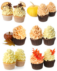 Yummy fall cupcakes isolated on white, set