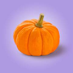 Whole ripe pumpkin on violet background. Fall vegetable