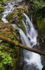 Long Exposure Waterfall in Lush Rainforest with Flowing Water and Greenery in Afternoon Light