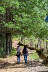 Obraz premium Mother and Teenage Daughter Holding Hands Walking Down Dirt Road or Rural Path, Exploring Nature and Family Bonding in Countryside Landscape