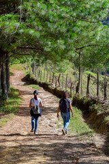 Obraz premium Mother and Teenage Daughter Holding Hands Walking Down Dirt Road or Rural Path, Exploring Nature and Family Bonding in Countryside Landscape